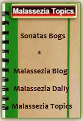 Sonatas Blogs